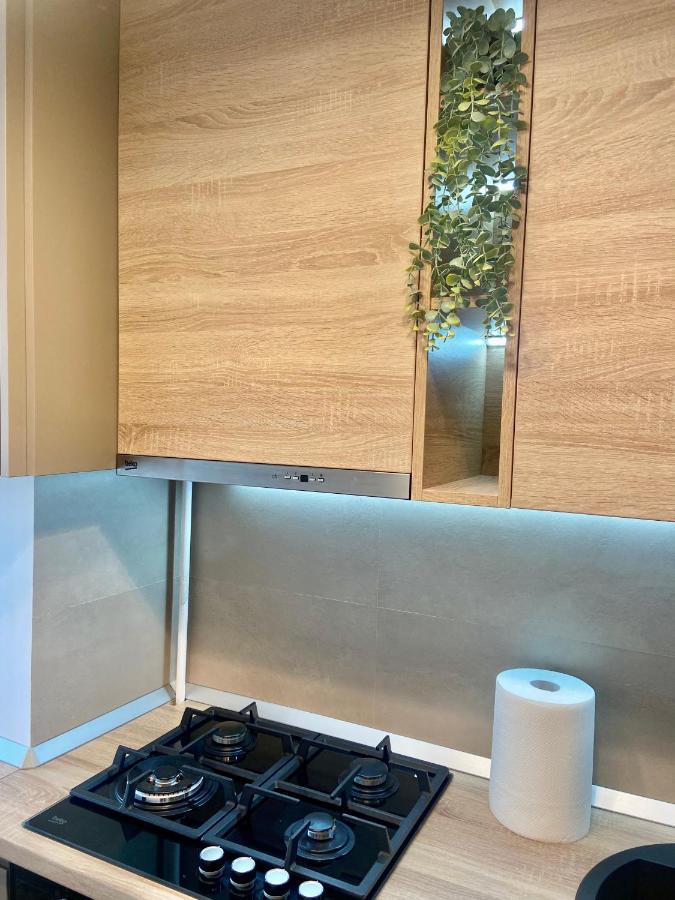 Apartmán Lazar Loft Iasi Exteriér fotografie